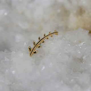 junipurr jewellery florence 14k gold yellow push fit body jewellery piercings right right curve