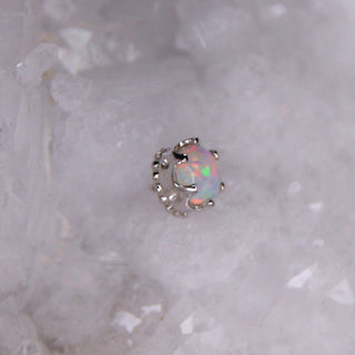 Junipurr jewellery threadless push fit crown tiara opal king queen body jewellery piercing earring 14k karat