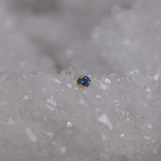 Anatometal Prong with Genuine Blue Sapphire - 18k Gold Threadless End