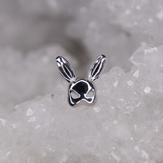 honey bunny kink bdsm swinger 14k gold threadless push fit attachment cardiff stockist piercing junipurr