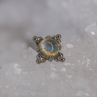 Anatometal Zia Labradorite 18k Gold Threadless Piercing End push fit genuine natural stone cabochon tribead