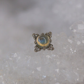 Anatometal Zia Labradorite 18k Gold Threadless Piercing End push fit genuine natural stone cabochon tribead