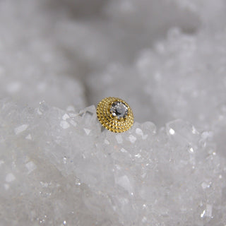 Gold earring with a clear gemstone on a textured gray background
anatometal hera beaded 18k yellow gold threadless push fit piercing attachment