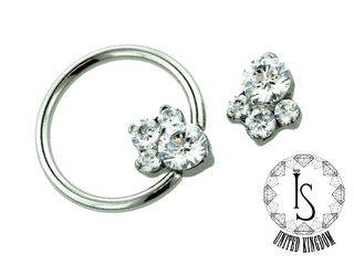 Product Details
Odyssey Caeli #2 Prong-set Faceted Gem Captive Bead