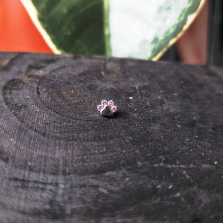is pink cz paw print 14/12g