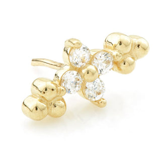 Pretty Cartilage jewellery  for helix and conch  piercings