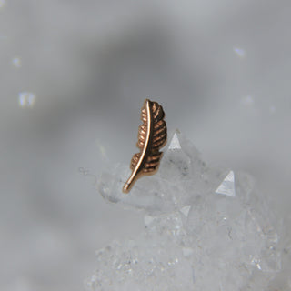 bvla feather gold rose