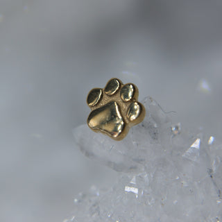 bvla gold dog paw