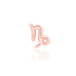 Star Sign Capricorn jewellery