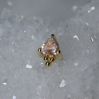 bvla timka oregon sunstone cardiff uk