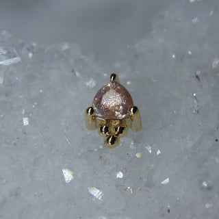 bvla timka oregon sunstone cardiff uk