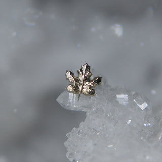 anatometal white gold maple leaf