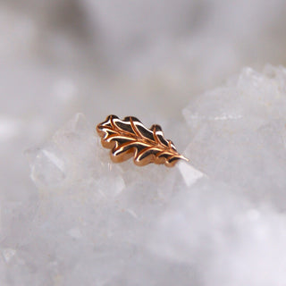 oak leaf botanical threadless 14k gold body jewellery junipurr jewelry body piercing cardiff