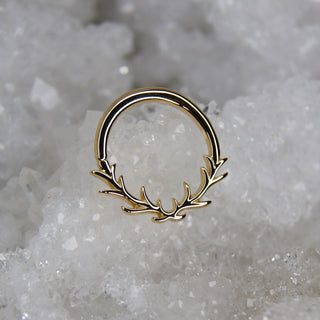 junipurr jewellery jewelry earring piercing antler deer raven solid 14k rose yellow white gold seam ring daith septum ring