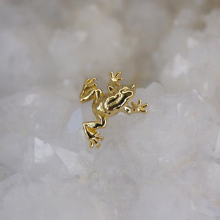 anatometal anato tree frog piercing earring threadless push fit attachment 18k gold