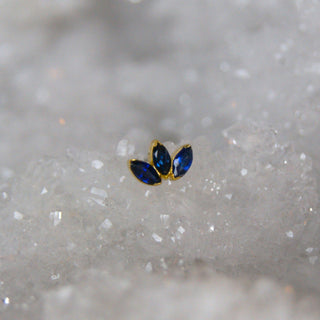 anatometal marquise fan in 18k yellow gold and genuine sapphire push fit threadless earring cartilage stud piercing