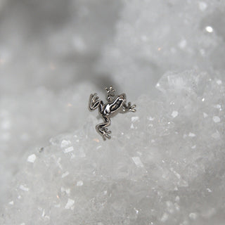 Anatometal Tree Frog - 18k Gold Threadless End