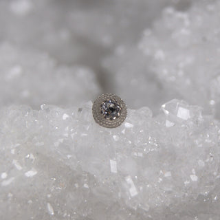 anatometal hera beaded 18k white yellow gold threadless push fit piercing attachment