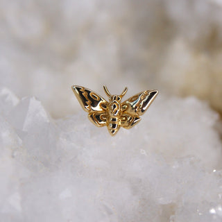 junipurr deaths head moth threadless 14k gold threadless push fit piercing jewellery cardiff halloween gothic