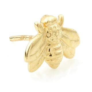 Gold Bee earring piercing jewellery for ears and cartilage 