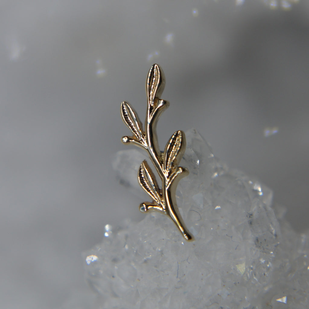 BVLA Small Amity - 14k Gold 16G Threaded End - UK BVLA STOCKIST ...